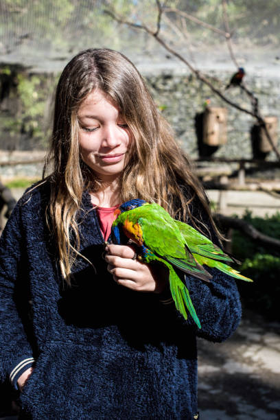 istock beautiful girl giving nectar to blue-headed Lorikeets 1397157880