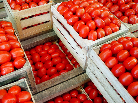 piled                                 saladette tomato boxes