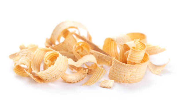 istock Wooden shavings isolated at white background. Wood shaving isolate 1397158855