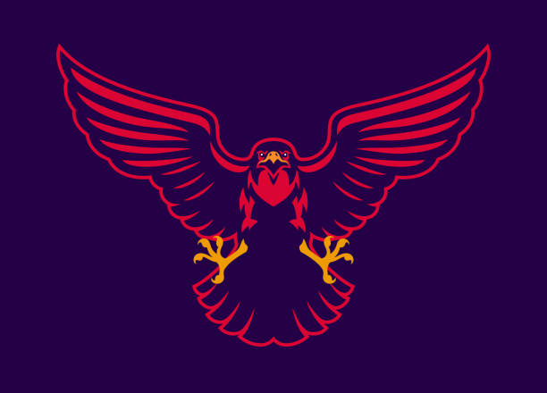 hawk mascot logo spreading the wings - 猛爪 幅插畫檔、美工圖案、卡通及圖標