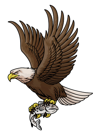 vector of Bald Eagle hold the Salmon Fish