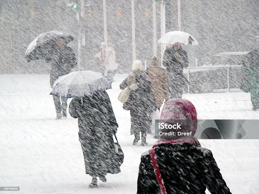 Snowstorm - Foto de stock de Ventisca libre de derechos