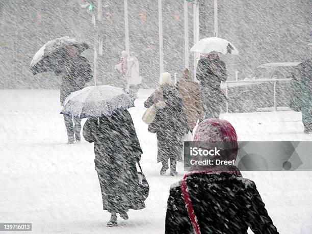 Snowstorm Foto de stock y más banco de imágenes de Ventisca - Ventisca, Nieve, Invierno