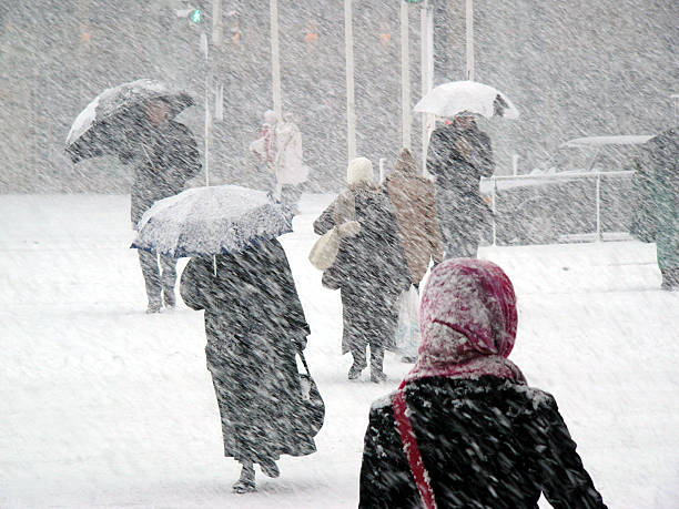 Snowstorm Snowstorm in Finland. blizzard stock pictures, royalty-free photos & images
