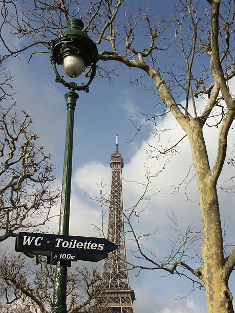 istock Eiffel tower and sign in Champ de Mars (Paris) 139716139