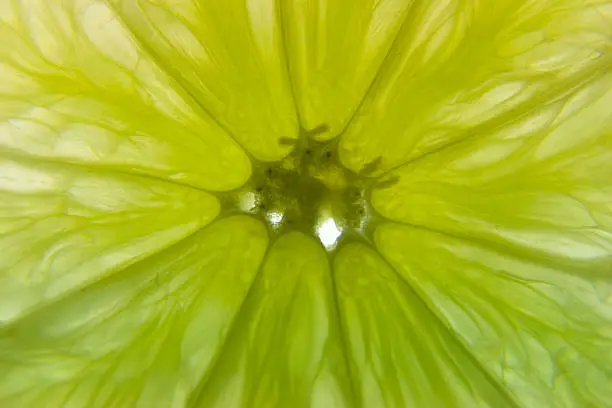 Full frame macro of a lime on a light table.