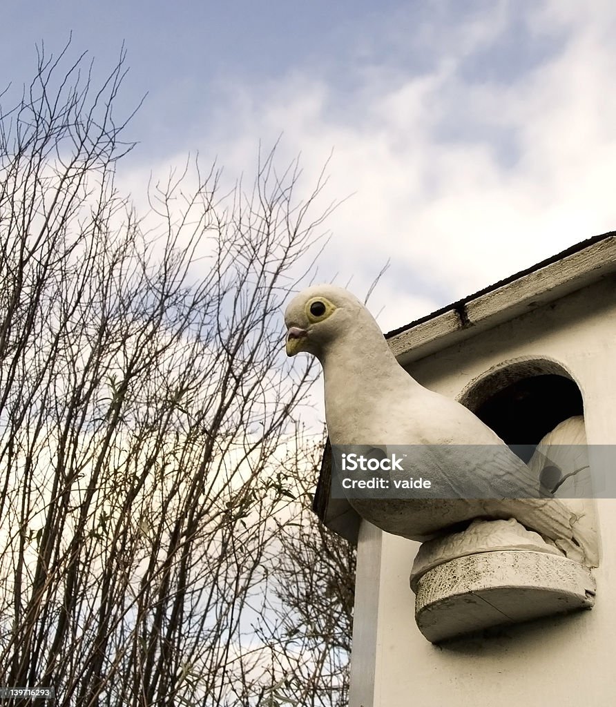 Dónde - Foto de stock de Aire libre libre de derechos