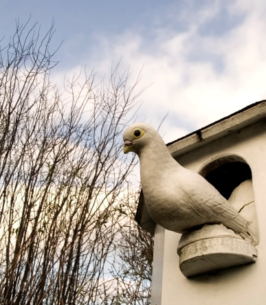 Artificial dove and dovecote