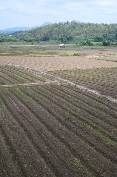 istock landscape of agriculture with blue sky 1397164361