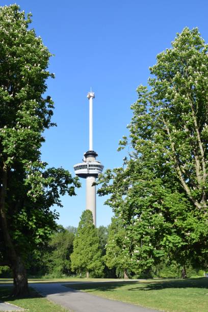 istock Euromast Rotterdam surrounded by lush green foliage 1397165504
