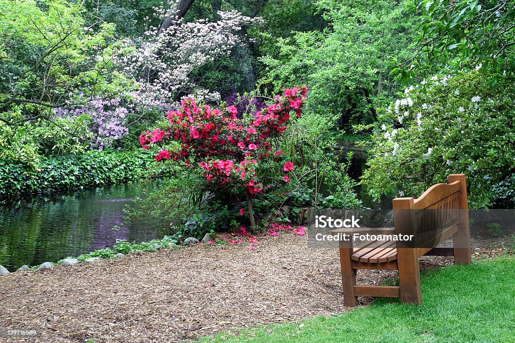 Bench in the garden Empty bench by the pond in the Asian garden with spring flowers. Asia Stock Photo