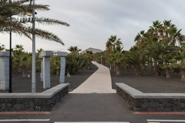 Volcanic garden with a pathway surrounded by cactus, palm trees with black soil in Lanzarote, Canary Islands in Spain stock photo