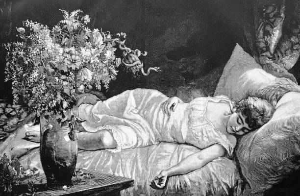 букет цветов и спящая девушка на диване - antique bed stock illustrations