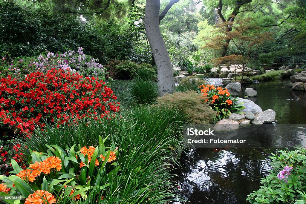 Frühling Blumen - Lizenzfrei Asien Stock-Foto