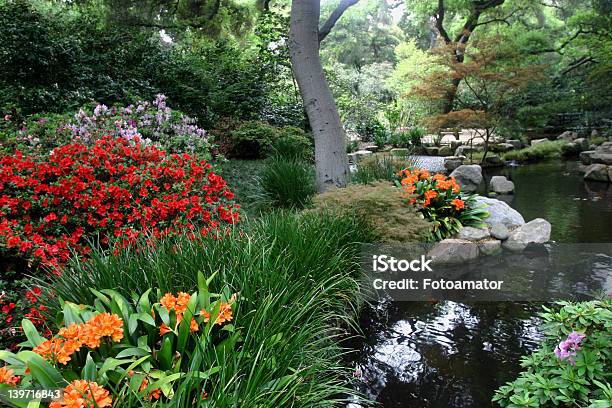 Fiori Di Primavera - Fotografie stock e altre immagini di Acqua - Acqua, Aiuola, Albero