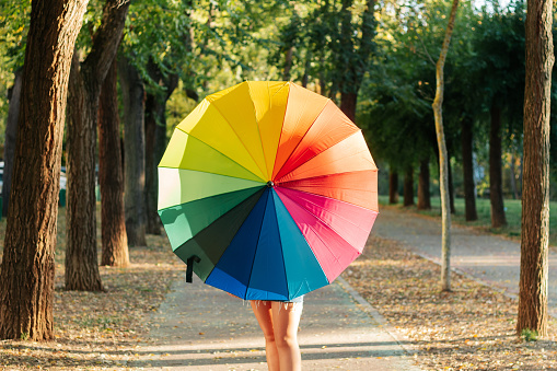 Faceless female with rainbow umbrella standing on straight pathway with fallen leaves among tall trees in park on sunny summer day