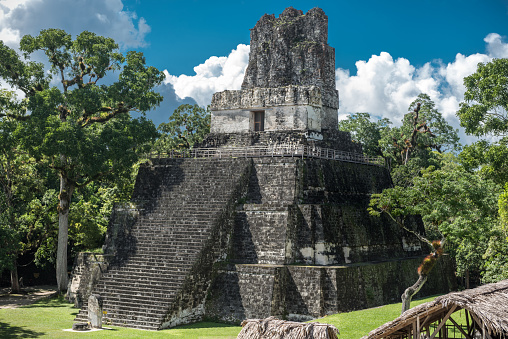 Pyramid and the Temple in Tikal Park. Sightseeing object in Guatemala with Mayan Temples and Ceremonial Ruins. Tikal is an ancient Mayan Citadel in the Rainforests of Northern Guatemala.