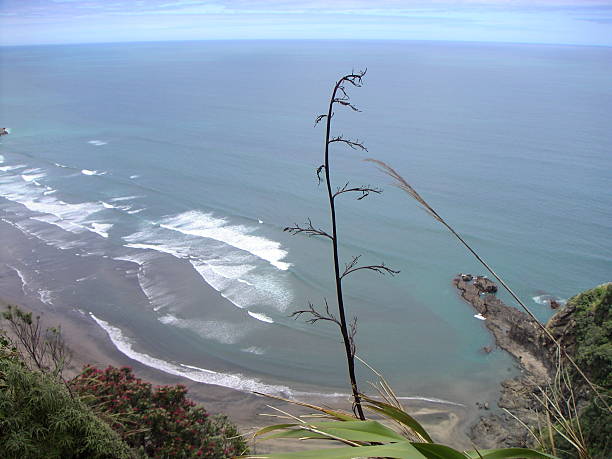 coastal beauty stock photo