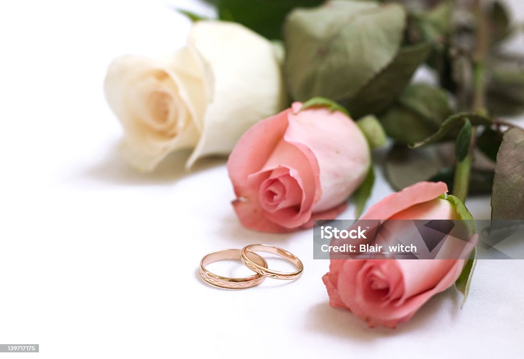 wedding invitation card wedding rings and roses on white with space for writing (wedding invitation card ) Adult Stock Photo