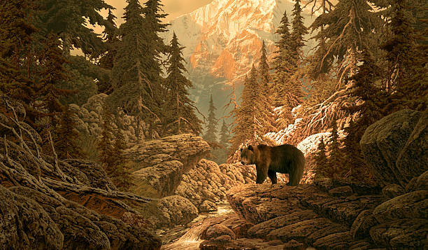 istock Bear in the Rocky Mountains 139717349
