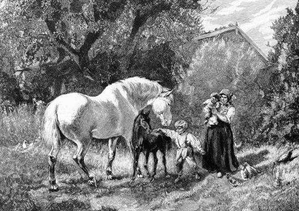 idyll, 어머니와 초원에 말을 가진 두 자녀 - foal child mare horse stock illustrations