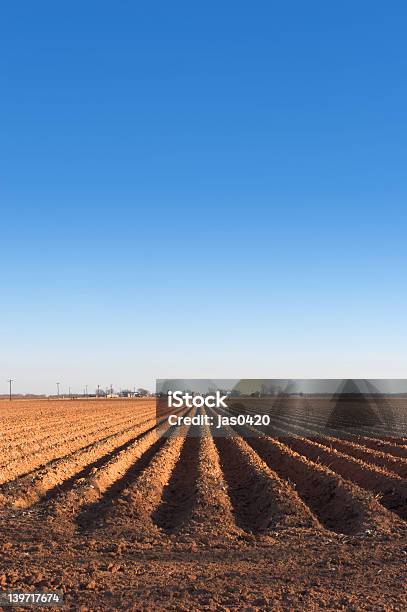 Farmland Foto de stock y más banco de imágenes de Agricultura - Agricultura, Aire libre, Ajardinado