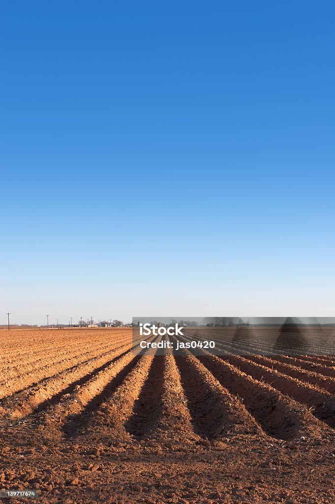 Farmland - Foto stock royalty-free di Agricoltura