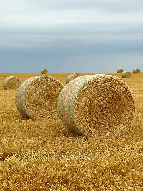 hay field with stormy sky