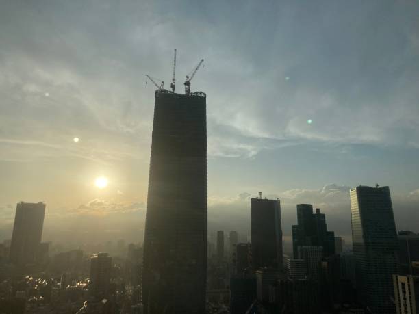 View from Tokyo Tower, 2022