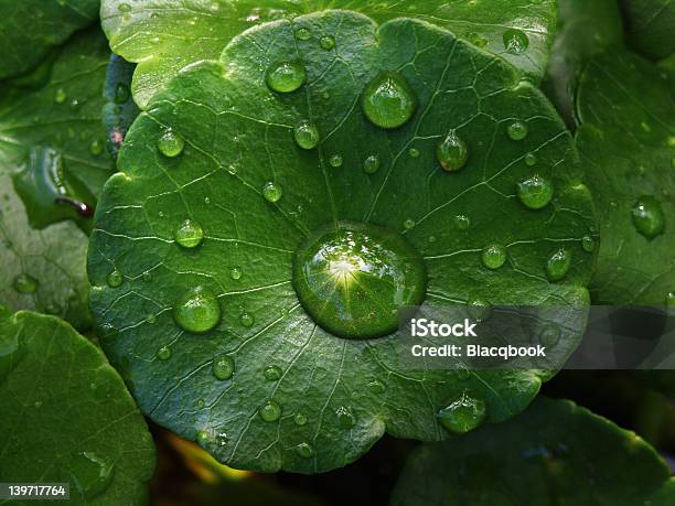 A La Luz Foto de stock y más banco de imágenes de Agua - Agua, Aire libre, Belleza