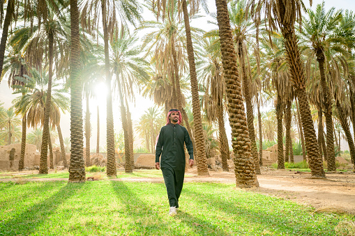 Full length view of Middle Eastern man in traditional Saudi attire approaching camera as sun shines through canopy of date palm trees in background.