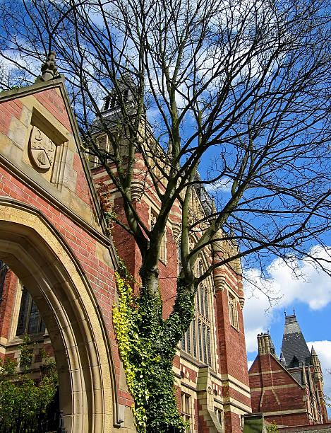 istock Brick college campus building with tree and blue sky 139718002