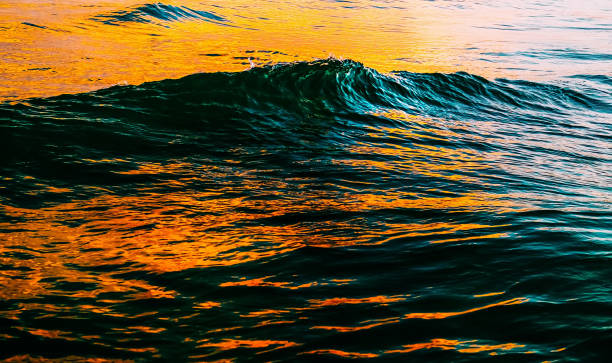 istock Amazing sea wave close up, low angle view, sunrsie shot 1397180878