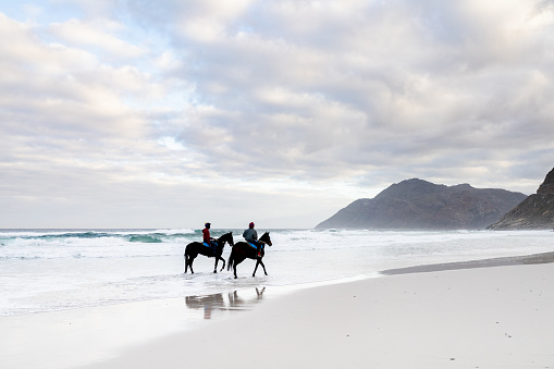 Cape Town, South Africa - March 12, 2022: Jockeys excercise race horses on the beach at Noordhoek, a Cape Town suburb on the Atlantic Ocean, just after dawn.