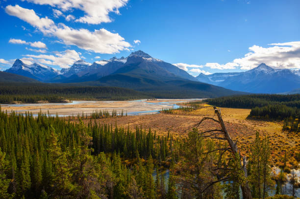 istock Howse Pass Viewpoint in Banff National Park, Canada 1397181613