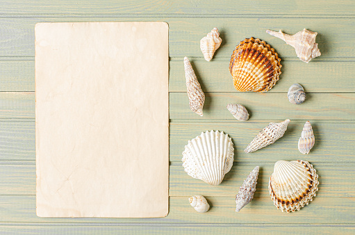 Seashells and old parchment on a wooden background. The concept of a summer vacation at sea. Copy space