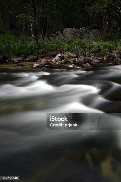 Photo libre de droit de Lété Dans Le Parc National De Yosemite banque d'images et plus d'images libres de droit de Activité - Activité, Activité physique, Animaux à l'état sauvage