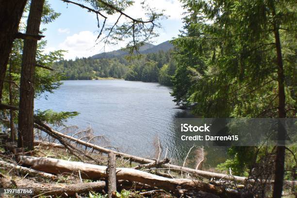 Beautiful Tranquil Bon Tempe Lake On Mount Tamalpais In Marin County California Stock Photo - Download Image Now