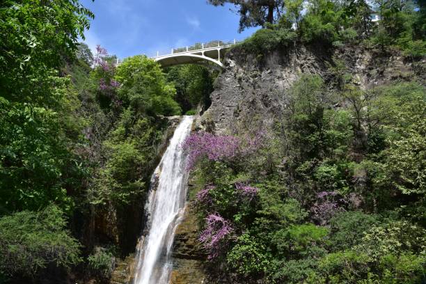 istock Natural Reserves of Georgia 1397189718