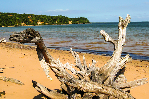 Inhaca Island form a small barrier Island system, which is the Eastern edge of Maputo Bay. Most of it's coastline is part of a marine reserve, especially protecting the small coral reefs growing there