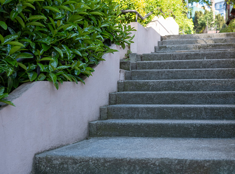 Steps at a modern architecture house