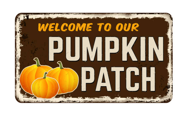 illustrations, cliparts, dessins animés et icônes de bienvenue sur notre panneau vintage en métal rouillé patch citrouille - farm pumpkin autumn farmer