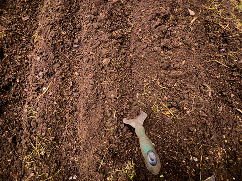 Horizontal high angle closeup photo of rich brown dirt, full of home made compost, ready for planting seeds or seedlings in an organic garden in Autumn. A well-used digging trowel, pushed into the dirt, is in the foreground.