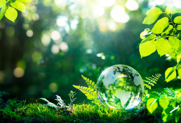 istock Environment. Glass Globe On Grass Moss In Forest - Green Planet With Abstract Defocused Bokeh Lights - Environmental Conservation Concept 1397197896