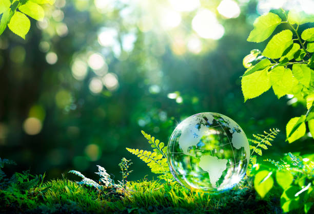 Environment. Glass Globe On Grass Moss In Forest - Green Planet With Abstract Defocused Bokeh Lights - Environmental Conservation Concept stock photo