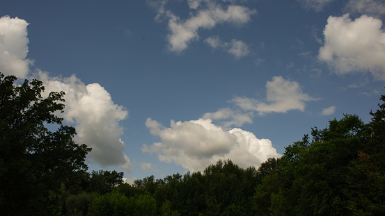 White clouds in the blue sky and dark silhouettes of trees. Summer season. Web banner.