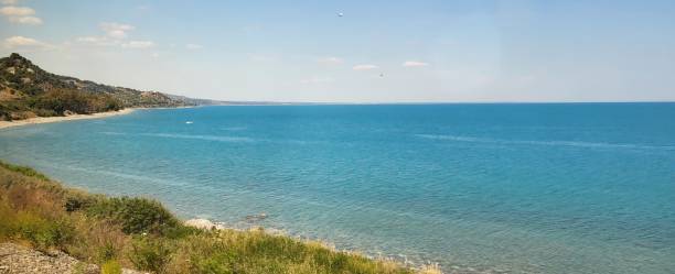 istock Trees by the sea 8 1397203051