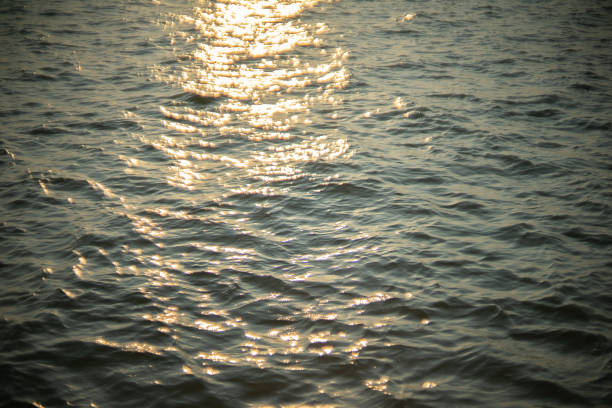 istock surface of ocean with wave shown natural tranquil emotion 1397205151