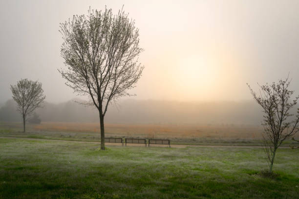 Foggy sunrise landscape over the meadow on Cape Cod public park in the springtime of Falmouth, Massachusetts