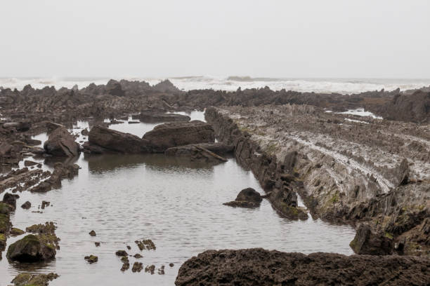 istock rocky coast with waves in the basque country 1397205779